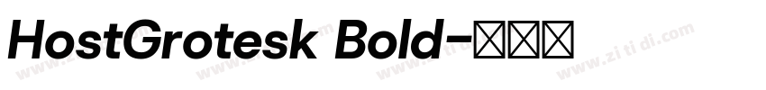 HostGrotesk Bold字体转换
